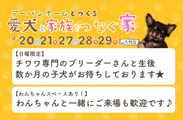 八代市西片町にて「ワンちゃん相談会」を開催【4/20,21,27-29】