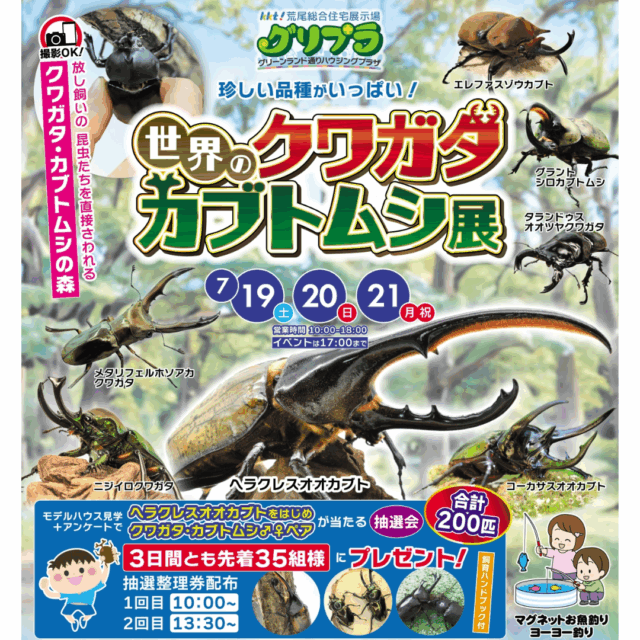 KKT荒尾総合住宅展示場グリプラにて珍しい品種がいっぱい！「世界のクワガタ＆カブトムシ展」を開催【7/19-21】