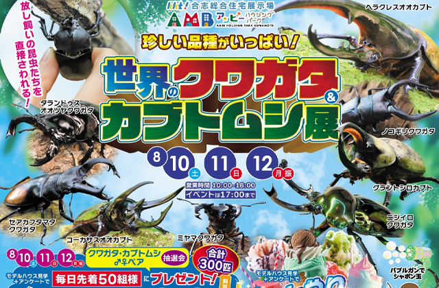 KKT合志総合住宅展示場にて「世界のクワガタ＆カブトムシ展」を開催【8/10-12】