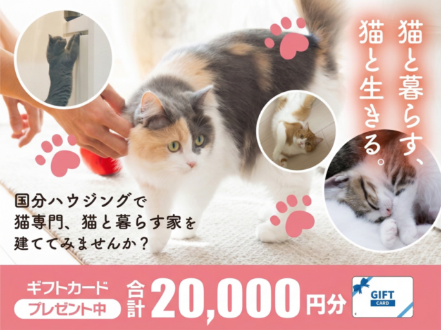 八代市長田町にて「大好きな猫と暮らすおうちづくり相談会」を開催【随時】