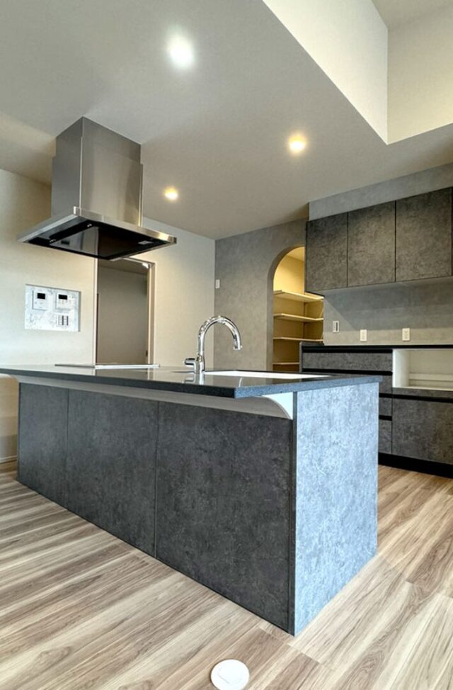 穏やかな陽光に包まれる2WAY動線で快適性を極めたモダン平屋 - アキ・ハウジング - キッチン