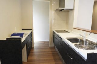 深い軒とウッドデッキが映える無駄を削ぎ落とした大人モダンな平屋 - 向洋ハウジング - キッチン