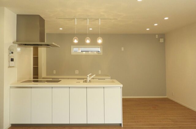 黒のガルバリウムに木のアクセントが映える豊富な収納を備えたモダンな平屋 - 向洋ハウジング - キッチン正面