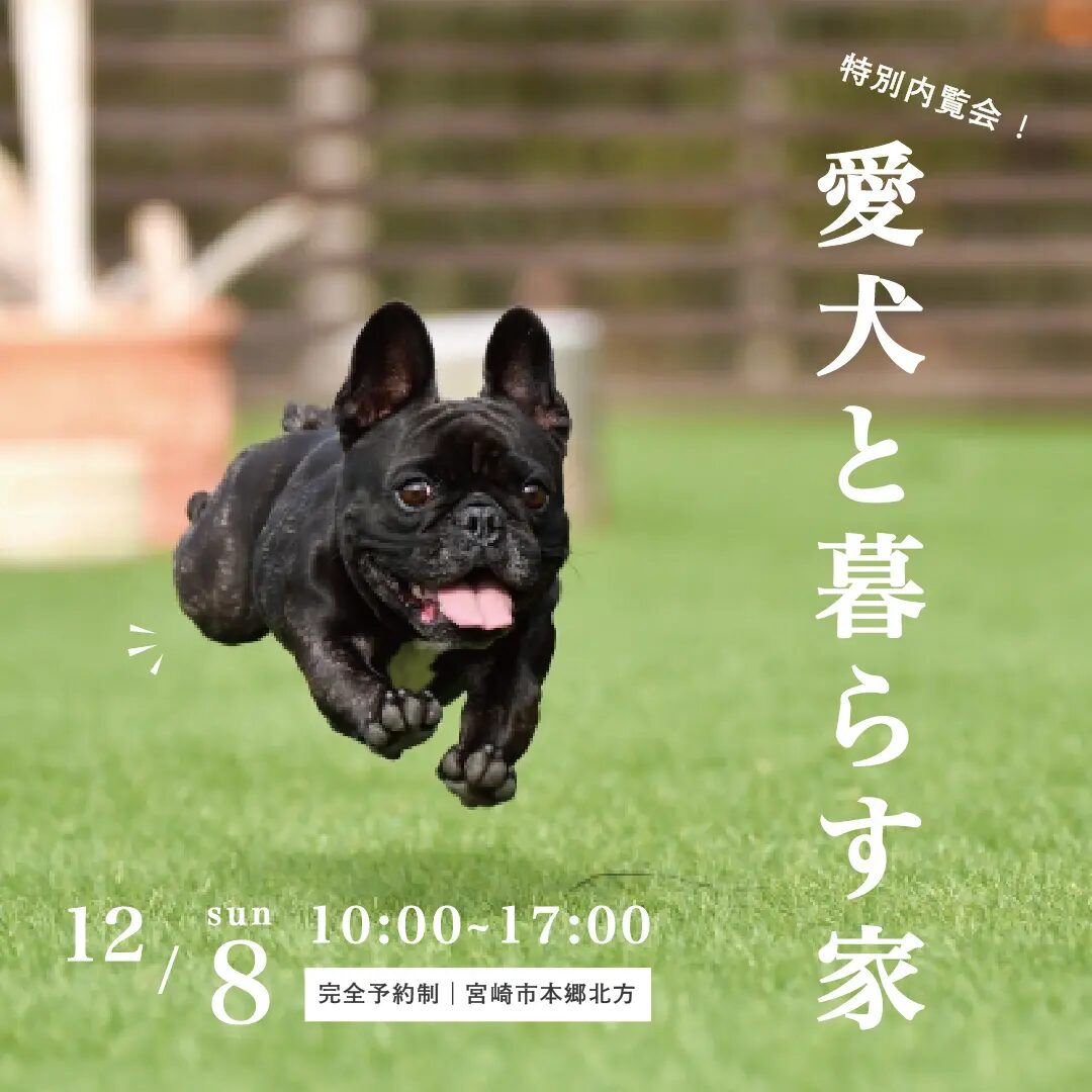 宮崎市本郷北方にて1日限定オープンハウス「愛犬と暮らす家」【12/8】