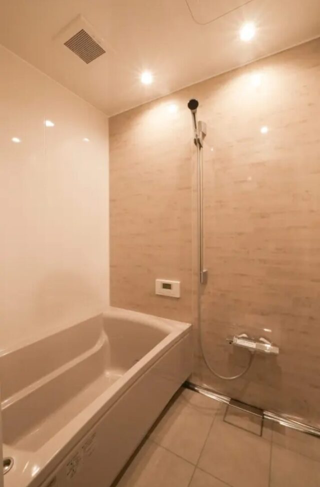 無機質×ナチュラルが融合したゆとりある20坪コンパクト平屋 - ベネッツ - 浴室