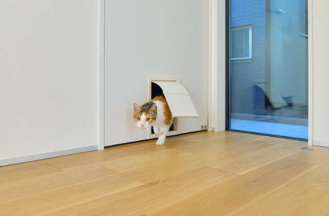 猫専用ドア - 施工事例 - エースホーム