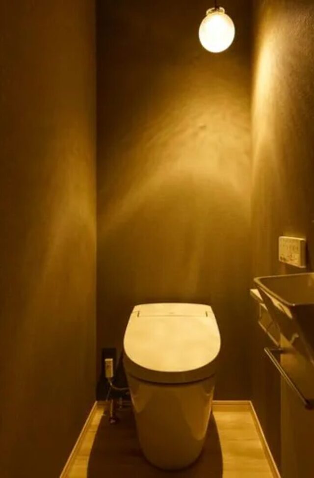 ダークトーンに包まれた重厚感のあるインダストリアル・モダンな2階建て - 大園建設 - トイレ